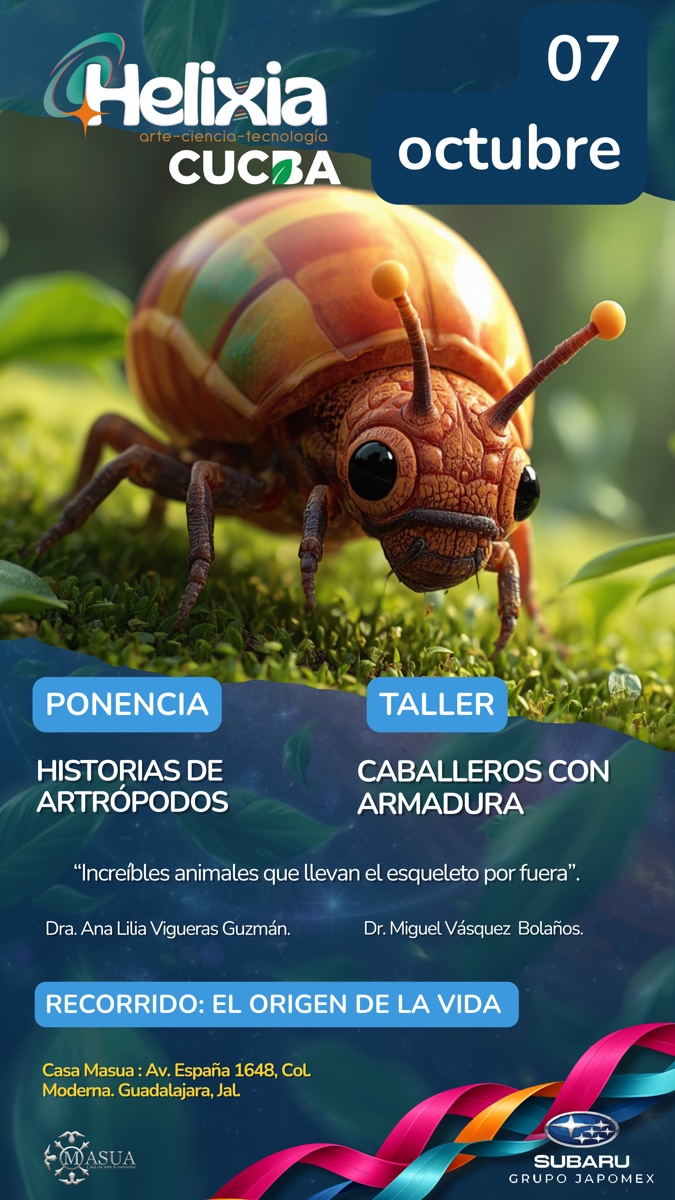 Afiche 07 Octubre - Historias de Artrópodos