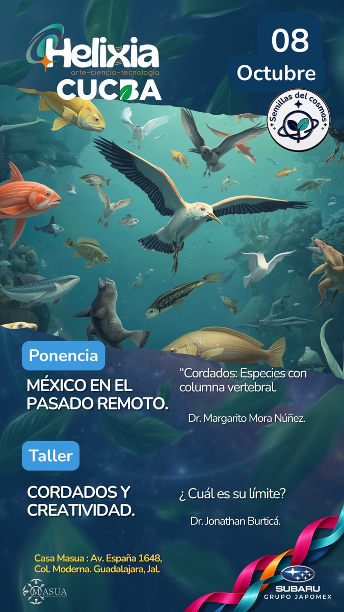 Afiche 08 Octubre - México en el Pasado Remoto