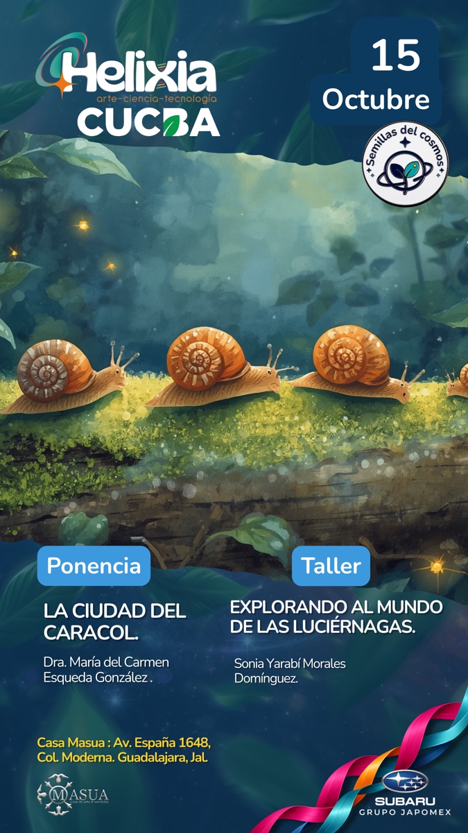 Afiche 15 Octubre - La Ciudad del Caracol