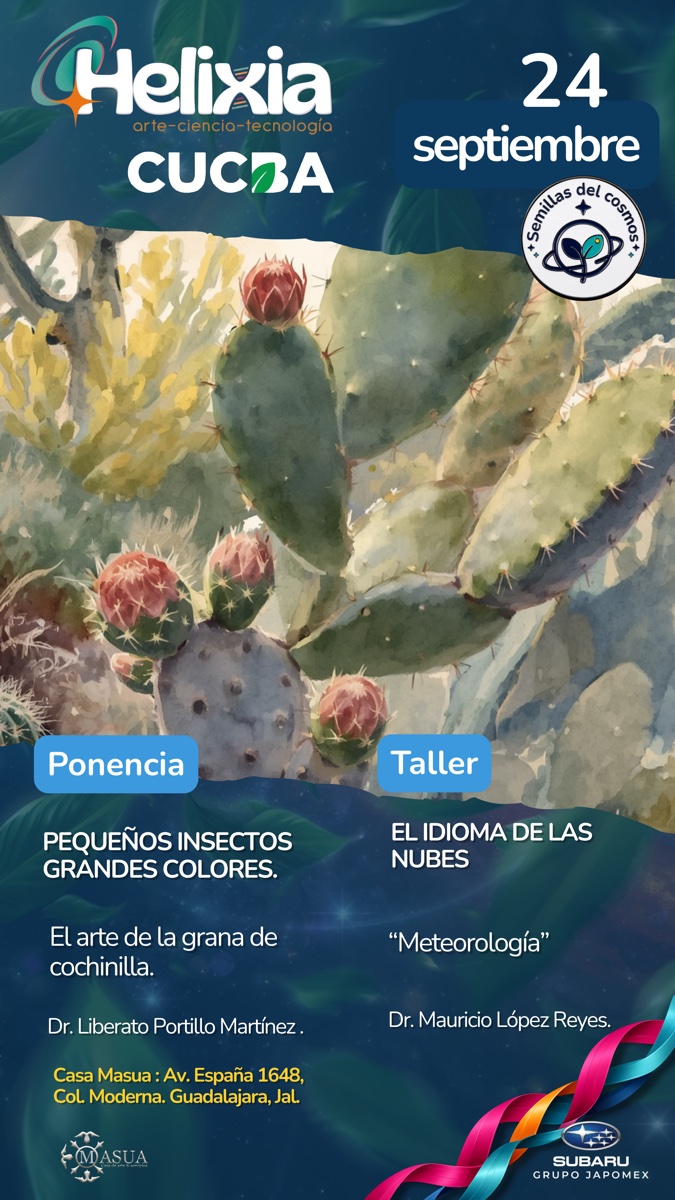 Afiche 24 Septiembre - Pequeños Insectos Grandes Colores